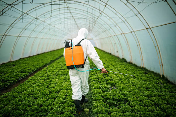 Best Emergency Pest Control  in Angola, NY