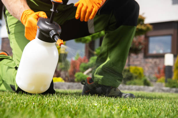 Angola, NY Pest Control Company