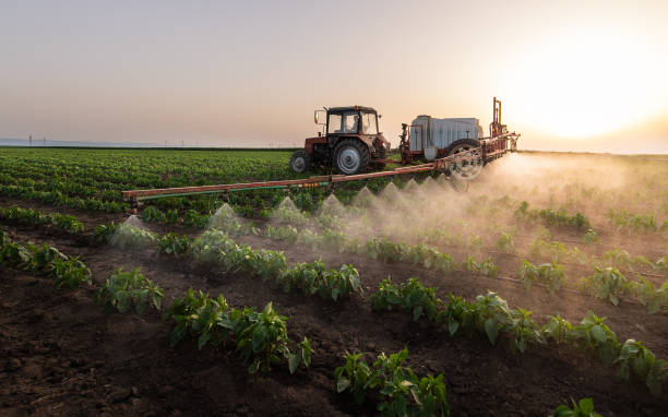 Best Pest Removal Services  in Angola, NY