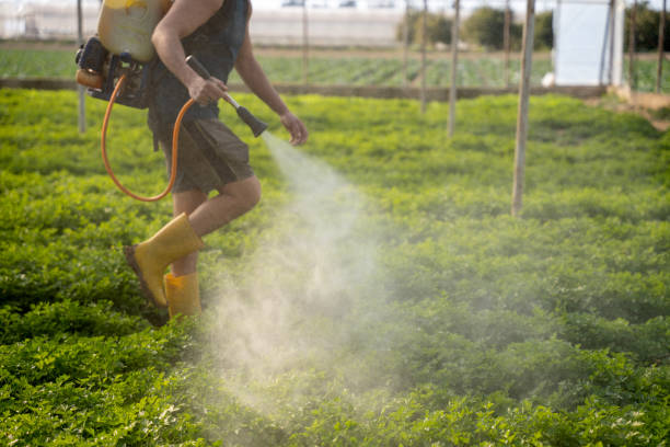 Best Commercial Pest Control Services  in Angola, NY