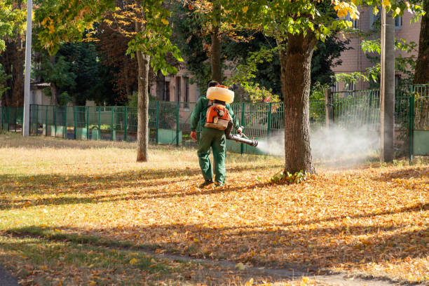 Best Pest Removal Services  in Angola, NY
