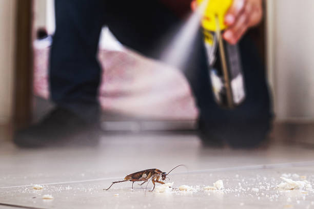 Best Best Pest Control Companies  in Angola, NY